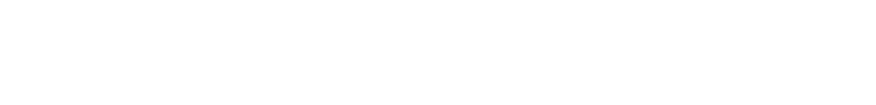 徳川家康AI スンプー